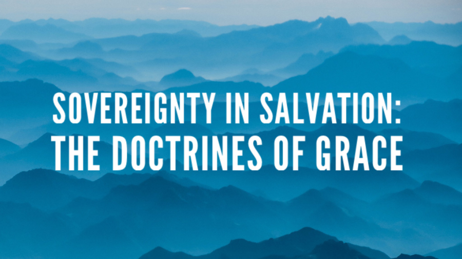 Title Sovereignty in Salvation: The Doctrines of Grace on blue mountain background