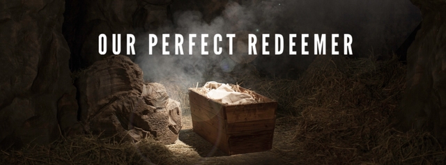 Our Perfect Redeemer image